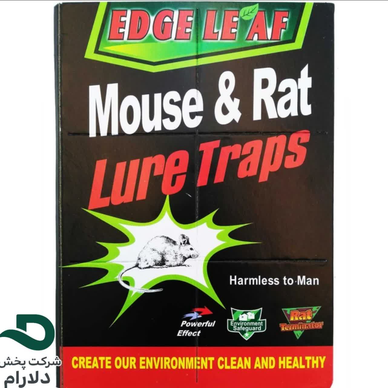 چسب موش خارجی